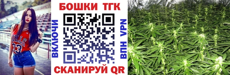 МАРИХУАНА гибрид  Бакал 